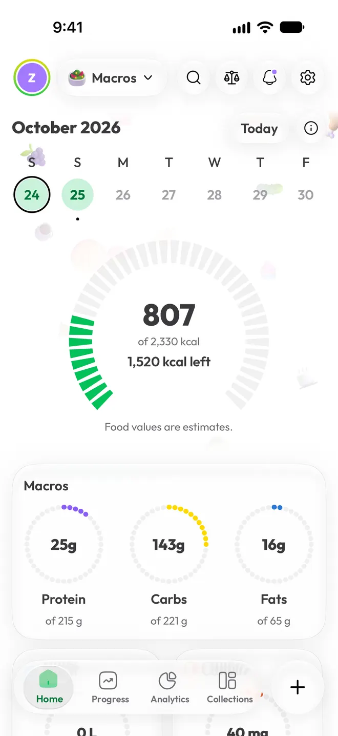 Much of Macros home: the day's calories and macros